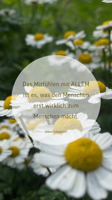 Reminder MITFHLEN.jpeg